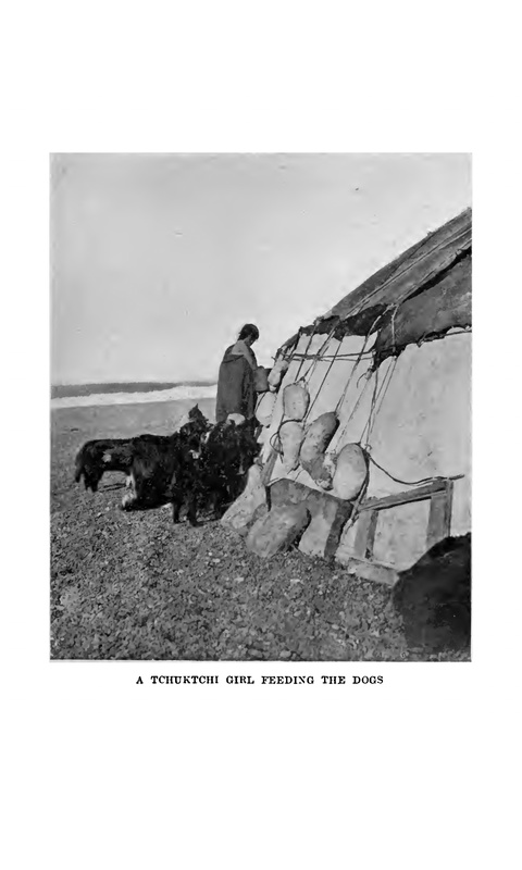 pic 22